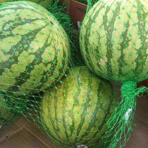 Mini Watermelons, whole small seedless 2ct 26281 - South's Market