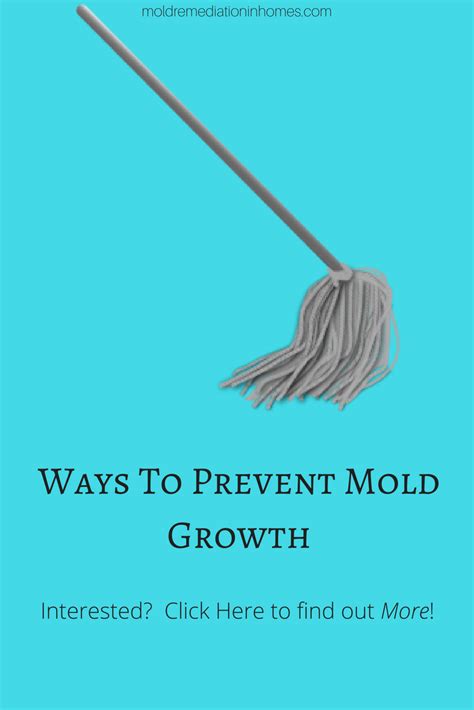 Are you in need of information about the ways to prevent mold growth? This will save you from ...