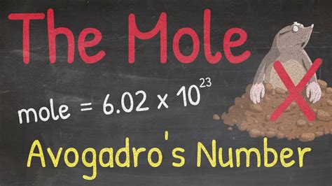 Avogadro’s Number & The Mole Explained! - YouTube