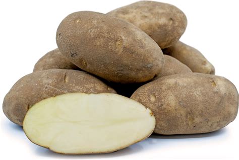 Russet Potatoes Information and Facts