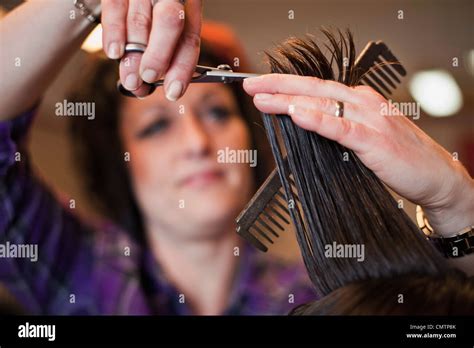 Hair dresser cutting hair Stock Photo - Alamy