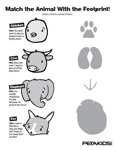 Animal Footprints: Match Them All! | PETA Kids