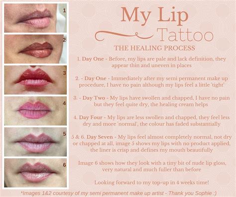 Day By Day Permanent Lip Color Healing Process - Swartz Tonya