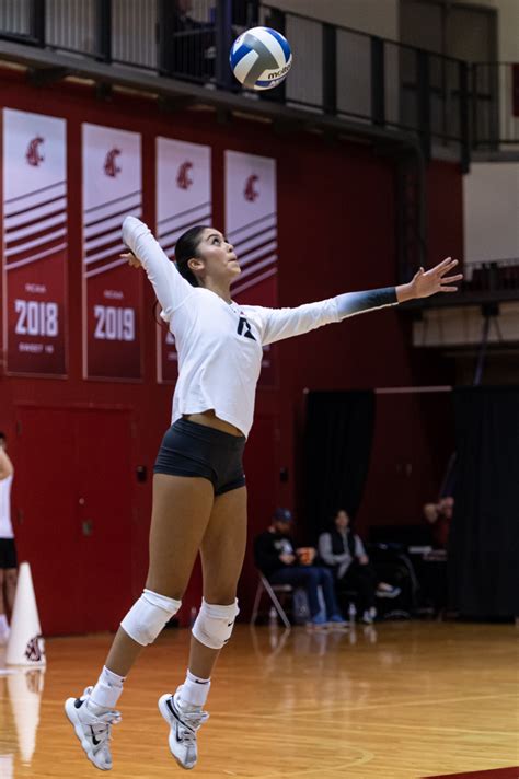 Be in Bohler: WSU volleyball deserves it – The Daily Evergreen