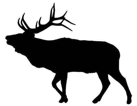 Bull Elk Silhouette Digital Art by Carlson Imagery