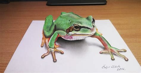 Realistic Frog Drawing at GetDrawings | Free download