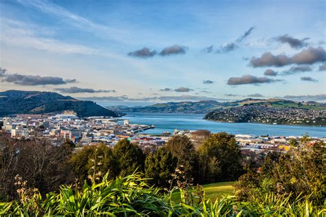 What to expect from the Dunedin property market in 2017 - Harcourts