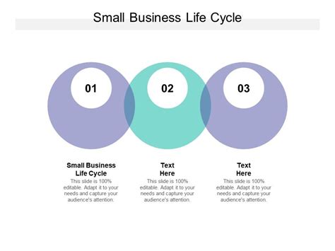 Small Business Life Cycle Ppt PowerPoint Presentation Summary Professional Cpb