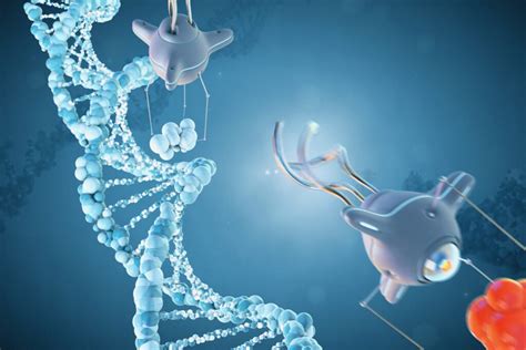 DNA Damage Repair: Is It Really Possible? | Genflow