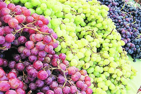 Grapes - Adrianna Springs - Agro Products, Spices, Vegetables, Fruits ...