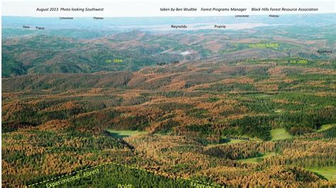 Petition · Proper Management of Our Black Hills National Forest - United States · Change.org