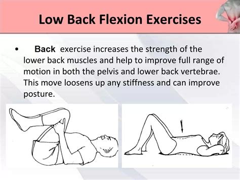 Low Back Flexion Exercise benefits, Low Back Pain Treatment