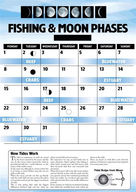 Fishing & Moon Phases Oct 18 - Fish & Boat Magazine