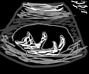 Pregnant Cat Ultrasound - Drawception