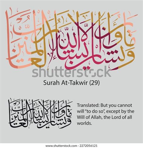 Islamic Calligraphy Quran Surah Attakwir 29 Stock Vector (Royalty Free ...