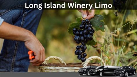 Discover the Best of Long Island Wineries with Mid-Range Wine Tasting Package Tours Limo Service