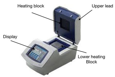 Polymerase Chain Reaction- Definition, Principle, Steps, Procedure, Protocol, Applications and Types