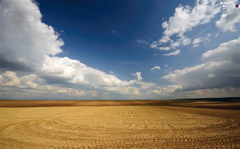 Sky, Field, land, clouds - Beautiful views wallpapers: 1680x1050