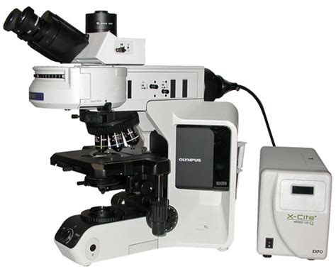 Olympus BX53 Compound Fluorescence Microscope