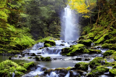 Hiking on Mountains Waterfalls Forest Photograph · Creative Fabrica