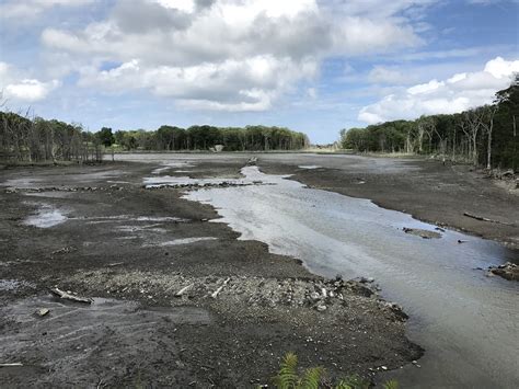 Damde Meadow tidal marsh at low tide