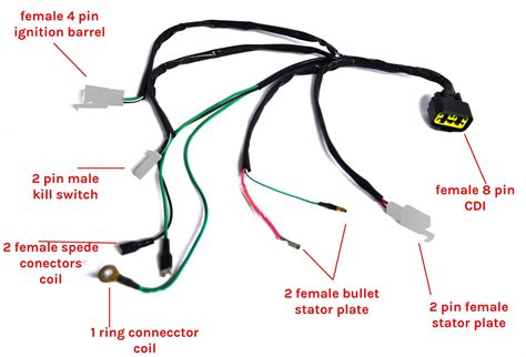 125 Pit Bike Wiring Diagram