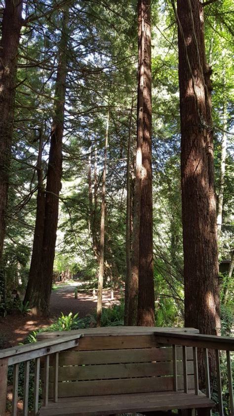 Virtual Tour of Emerald Forest Cabins & RV Park In Trinidad CA