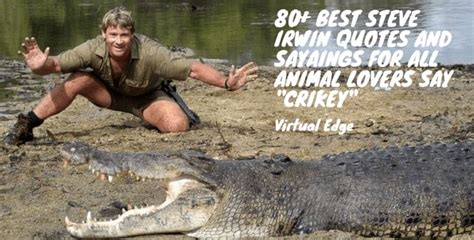 80+ Best Steve Irwin Quotes and Sayaings for All Animal Lovers Say "Crikey" | Virtual Edge