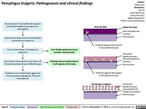 Pemphigus Vulgaris | Calgary Guide