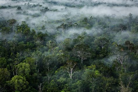 West Papua Life With Nature, Suku Kokoda Contribute On Local Wisdom Conservation