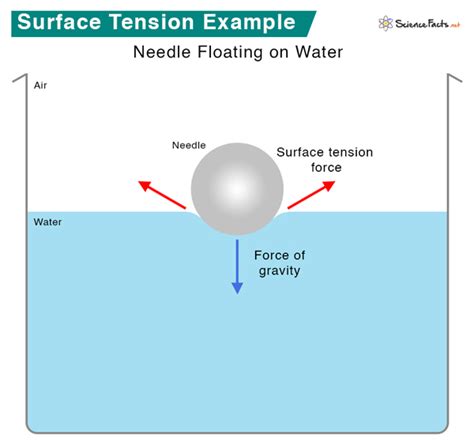 Surface Tension: Definition, Examples, and Unit