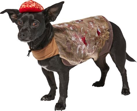 FRISCO Zombie Dog & Cat Costume, X-Large - Chewy.com