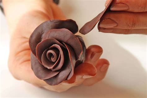 Chocolate Roses Photo Tutorial