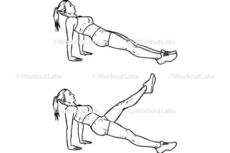 Reverse Plank Kicks / Planks – WorkoutLabs Exercise Guide