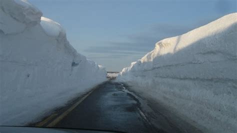 Cape Breton woman frustrated by national park snow clearing | CBC News