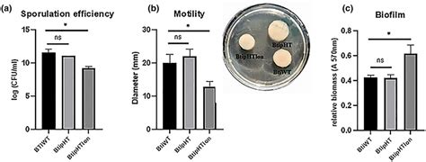 Spore count, Motility and Biofilm Assay of Bti strains. a Spore count... | Download Scientific ...