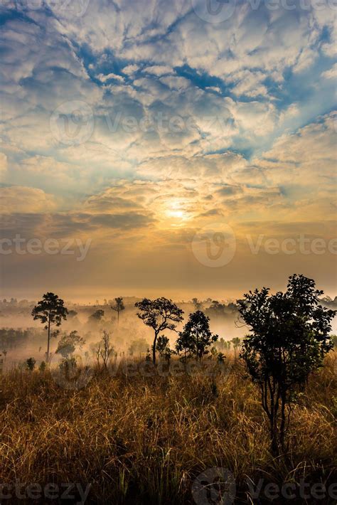 Morning in savannah 1368211 Stock Photo at Vecteezy