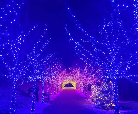 18 Spots Where You Can See Dazzling Holiday Lights In Boston