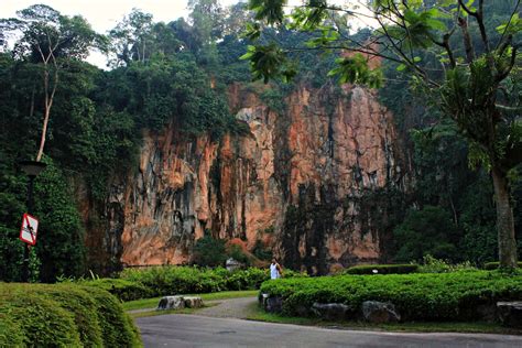 BIG LIFE SPENDER: IDYLLIC BUKIT BATOK NATURE PARK