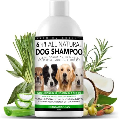 5 Best Dog Shampoos in the UK for 2020 | Dog Desires