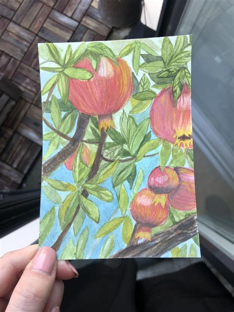 Pomegranate tree : r/Watercolor