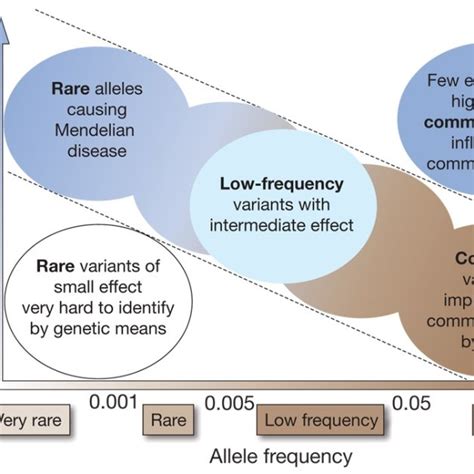 -A demonstration of the identification of risk variants for disease ...