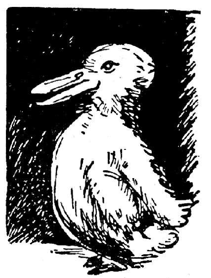 Jastrow Duck Rabbit | Optical illusion drawing, Optical illusions pictures, Illusions