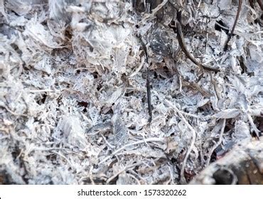 Pile Ashes After Fire Ash Textureburned Stock Photo (Edit Now) 1573320262