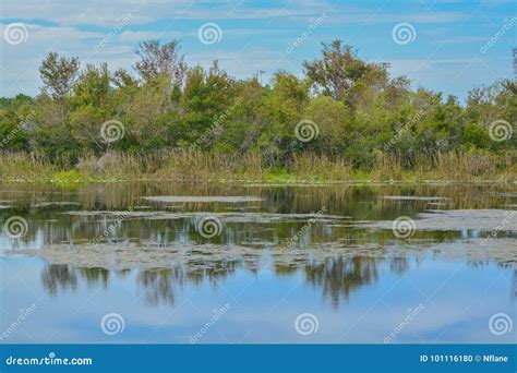 The View of Walsingham Lake at Walsingham Park Stock Photo - Image of fresh, shore: 101116180