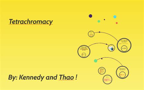 Tetrachromacy by Thao Nguyen