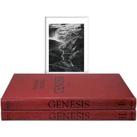 Sebastião Salgado: GENESIS, Art Edition E at 1stDibs