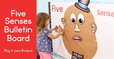 Five Senses Interactive Bulletin Board - Play to Learn Preschool