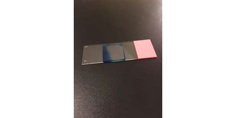 Microscope Slide Staining: What Is It and How to Do It – Microscope Clarity