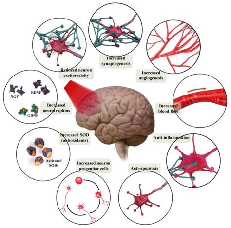 Can Light Therapy Help the Brain? – Vielight Inc